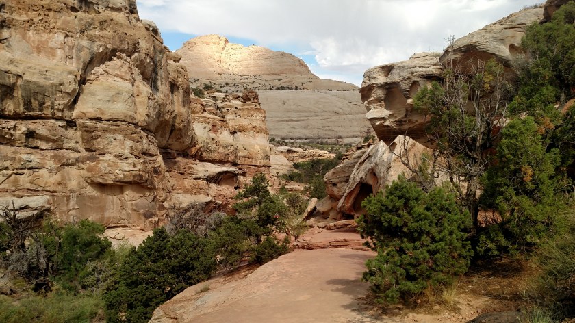 IMG_20170830_160007095