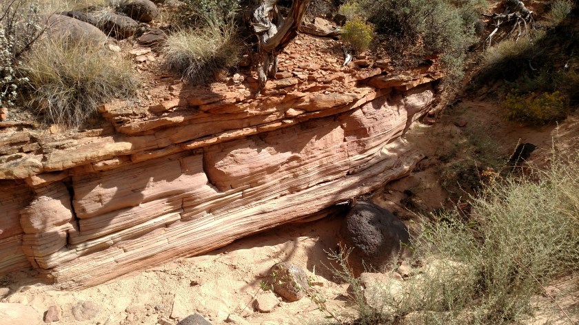 IMG_20170830_160510138