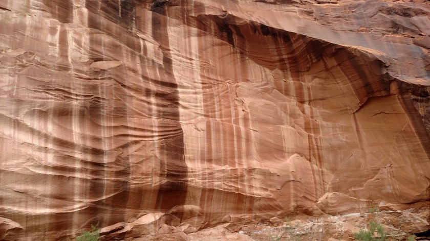 IMG_20170829_171843790