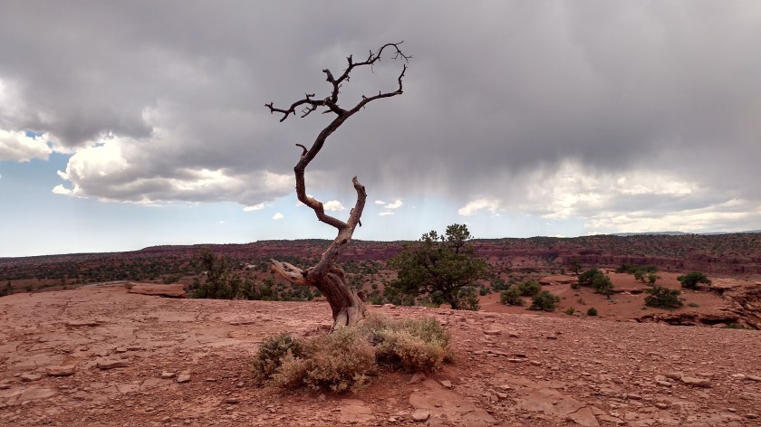 IMG_20170830_125300856_HDR