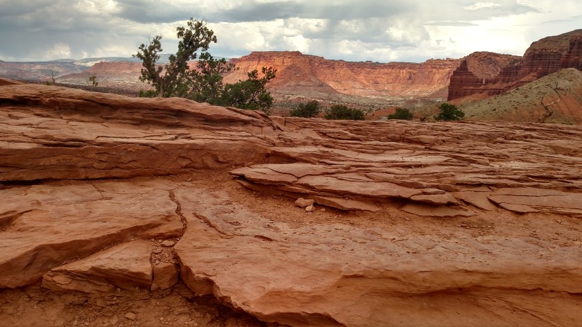 IMG_20170830_125703165_HDR