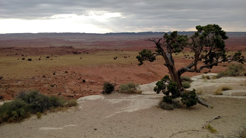 IMG_20170831_081518256