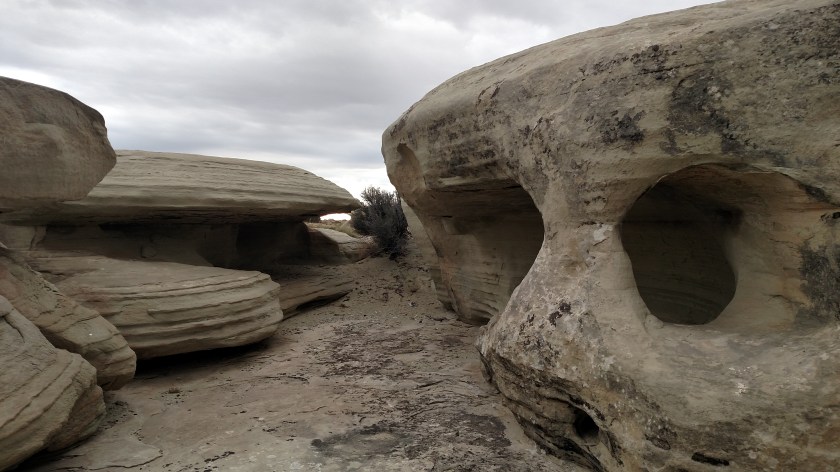 IMG_20170831_082458157