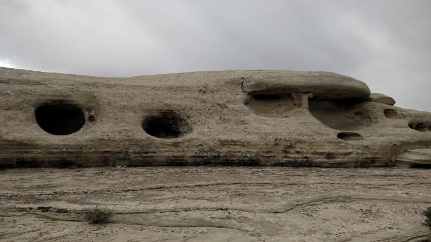 IMG_20170831_082525395