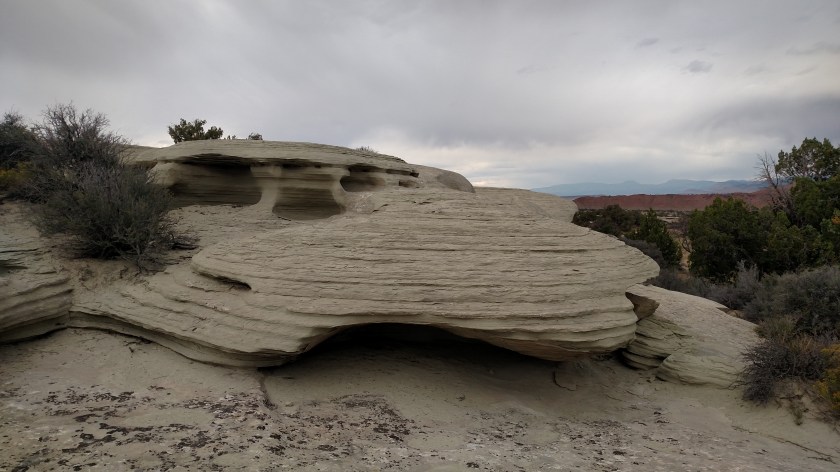 IMG_20170831_082658572