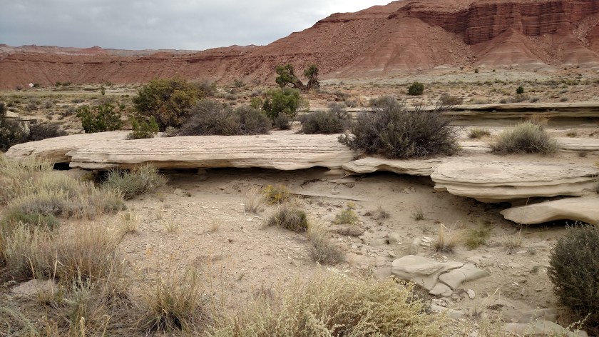 IMG_20170831_082909672