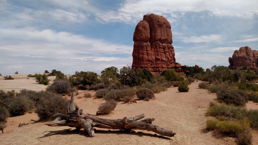 IMG_20170831_123601772