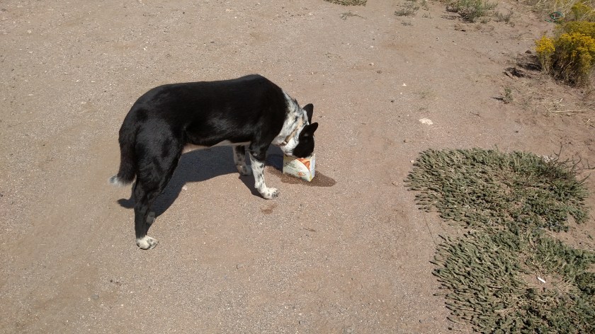 IMG_20170901_115126602