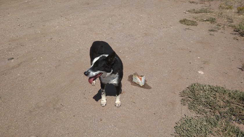 IMG_20170901_115139259