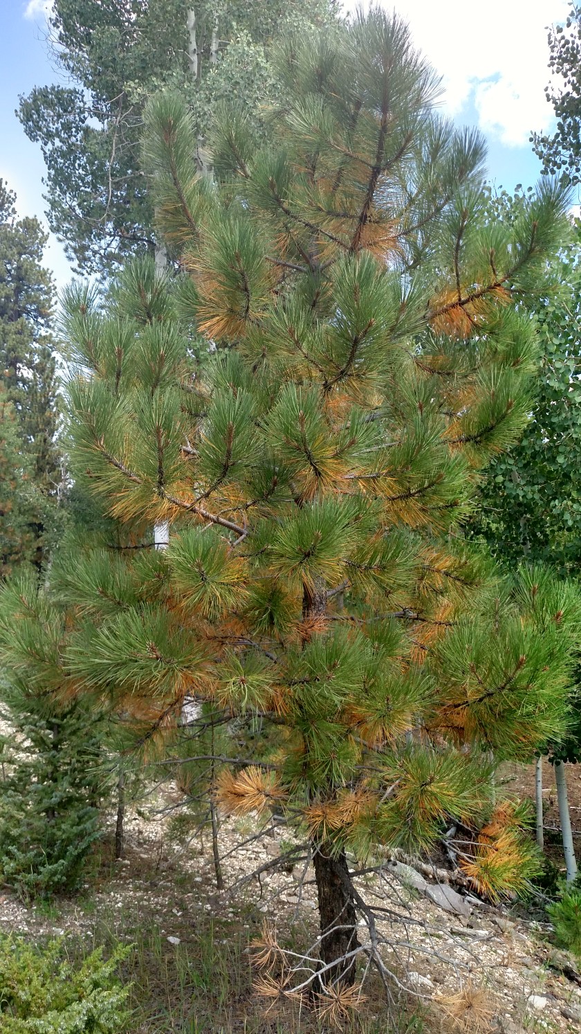 IMG_20170902_132356153_HDR