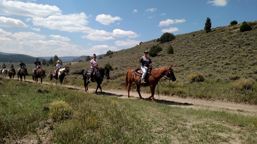 IMG_20170902_133555946