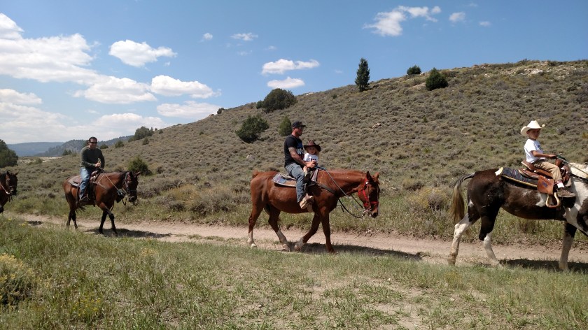 IMG_20170902_133605660