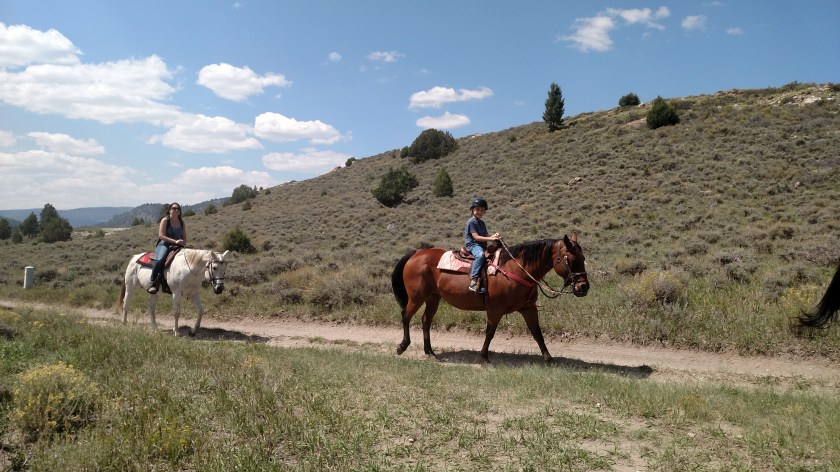 IMG_20170902_133613256