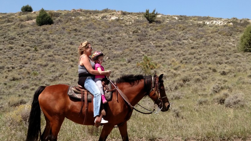 IMG_20170902_133632972