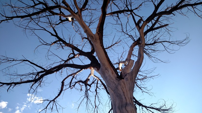 IMG_20170904_081038687