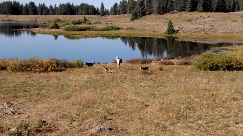 IMG_20170904_093955719