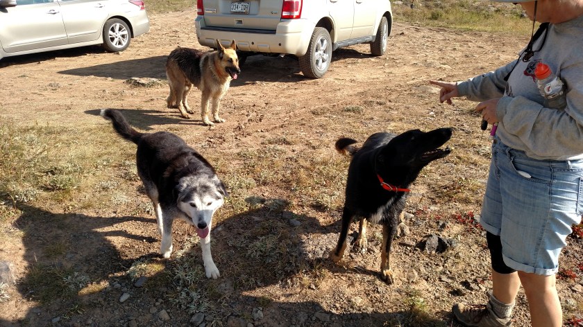 IMG_20170904_094153364