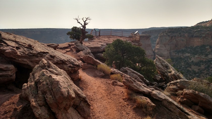 IMG_20170905_090058201_HDR