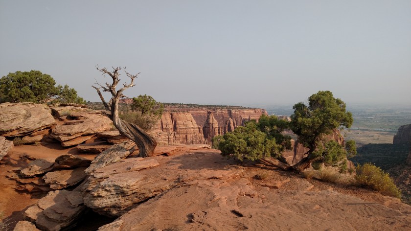 IMG_20170905_090327792