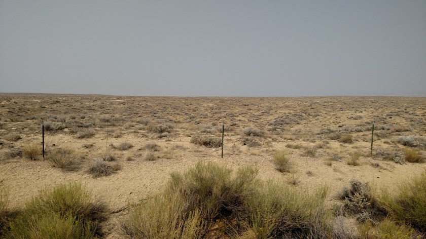 IMG_20170905_114346589