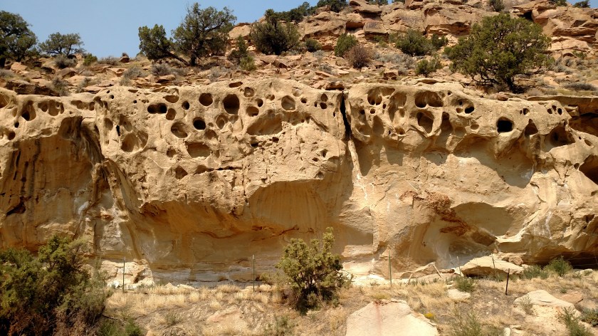 IMG_20170905_115711149