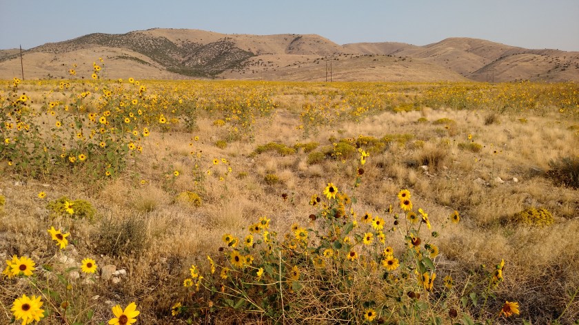 IMG_20170907_085815815