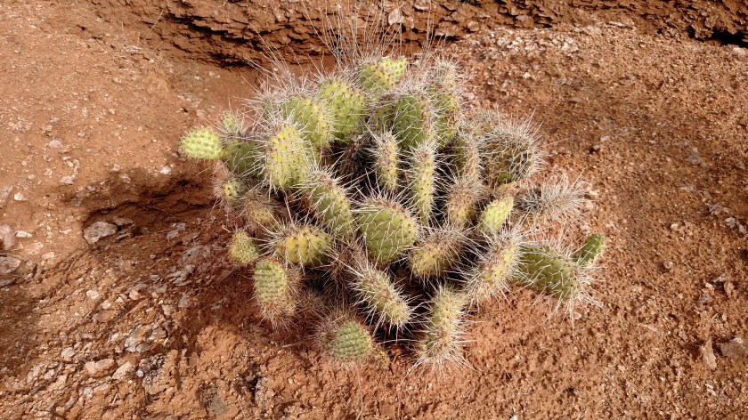 IMG_20170907_165051620