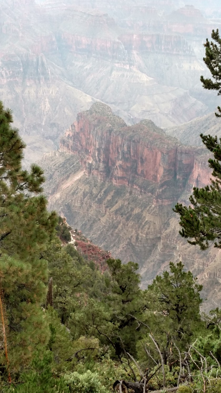 IMG_20170908_113911532_HDR