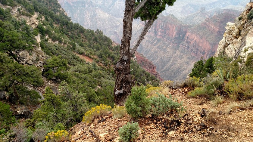 IMG_20170908_114019363