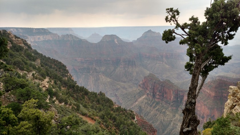 IMG_20170908_114036407_HDR