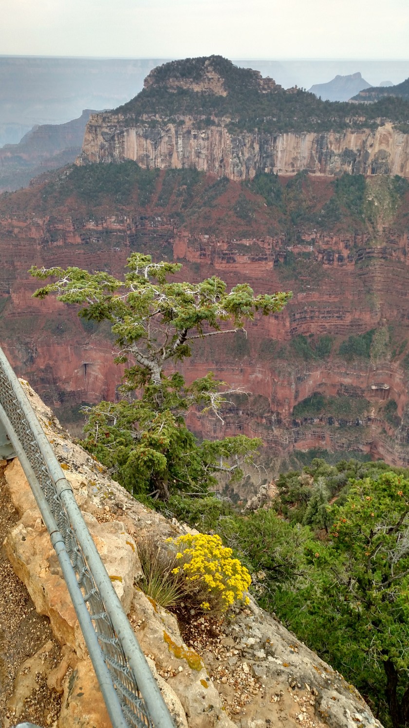 IMG_20170908_114601167_HDR