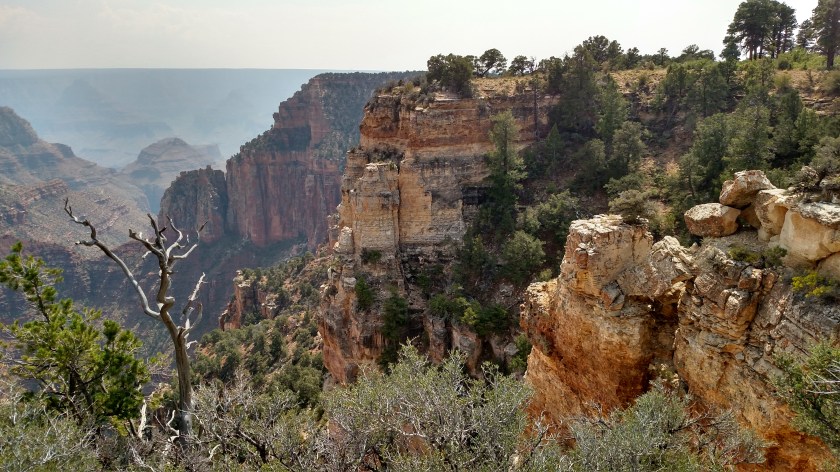 IMG_20170908_135611586_HDR