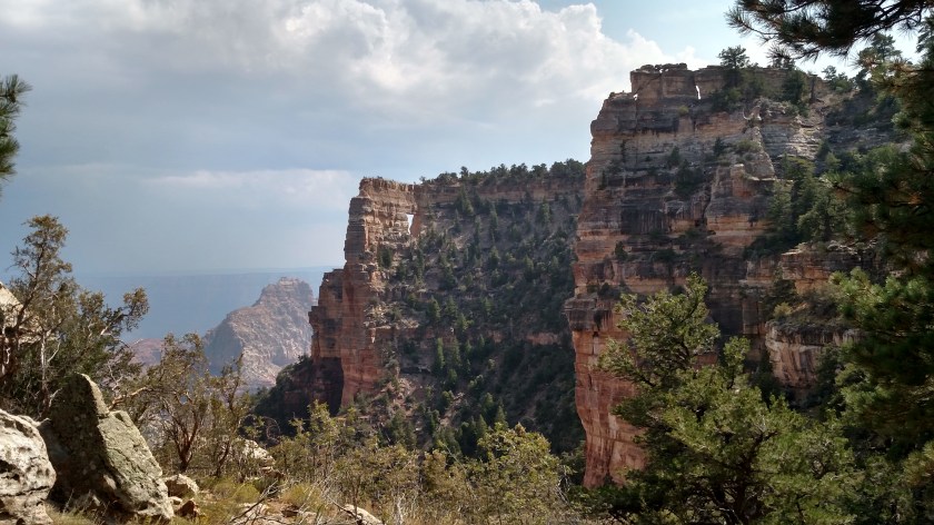 IMG_20170908_141939615_HDR