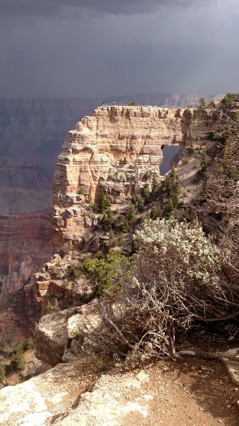 IMG_20170908_143256226