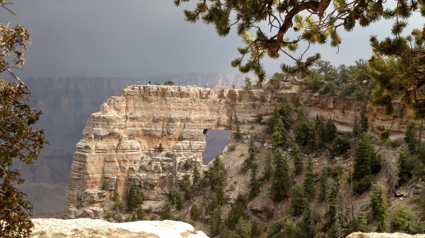 IMG_20170908_143324483