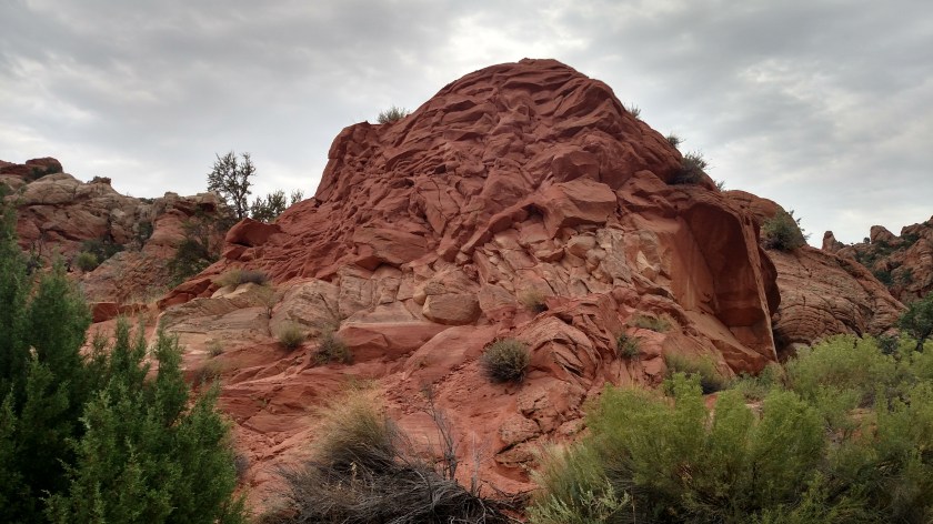 IMG_20170909_085300400_HDR