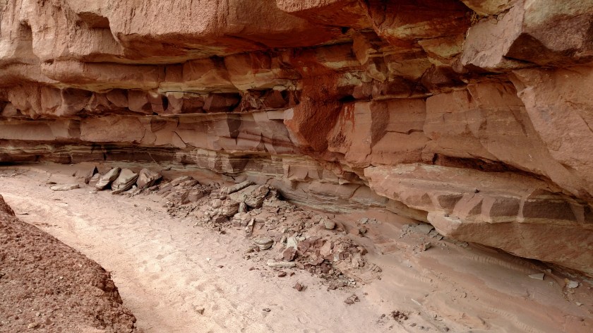 IMG_20170909_095708242