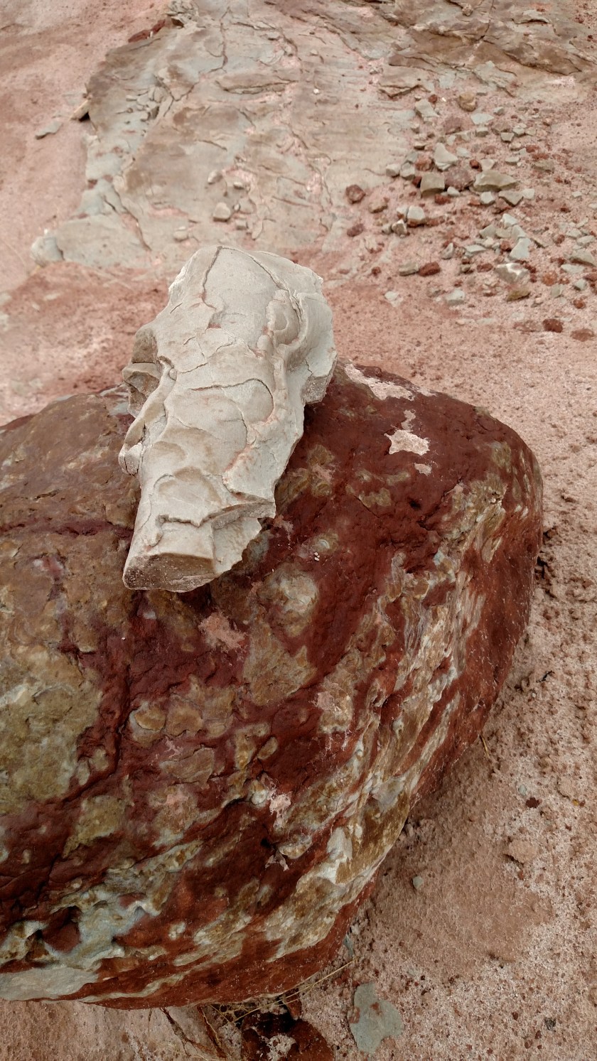 IMG_20170909_100608202