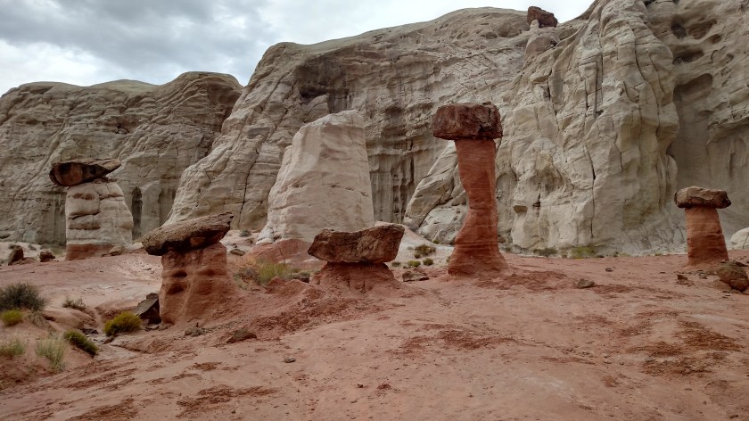 IMG_20170909_104803790_HDR