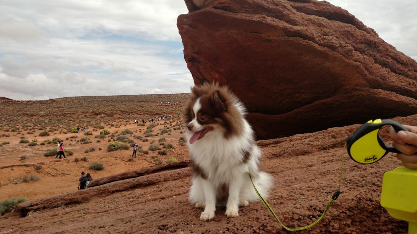 IMG_20170909_140841194