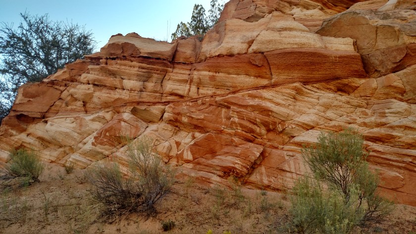 IMG_20170910_083342364_HDR