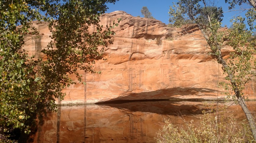 IMG_20170910_090644468