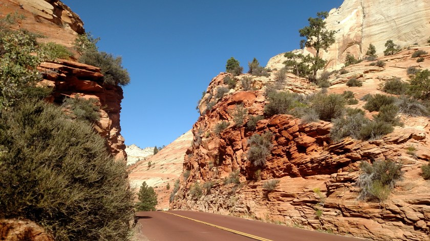 IMG_20170910_104151435