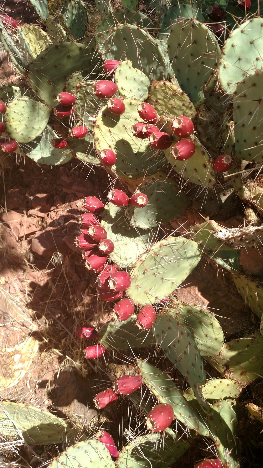 IMG_20170910_130207157