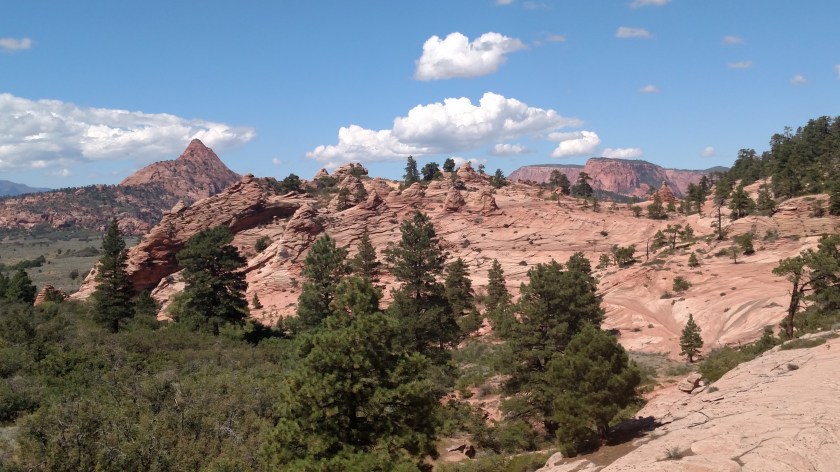 IMG_20170910_134451873