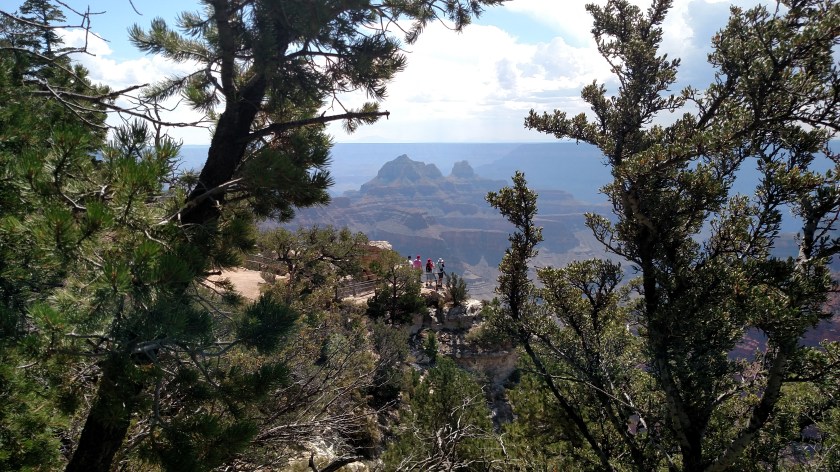 IMG_20170911_121516973