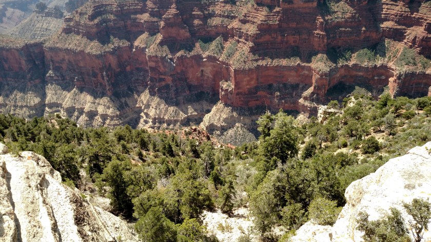 IMG_20170911_121928690