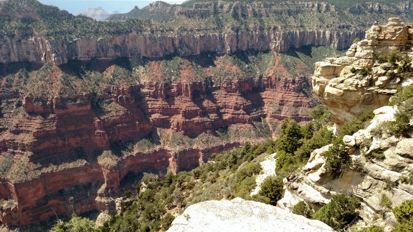 IMG_20170911_122648241