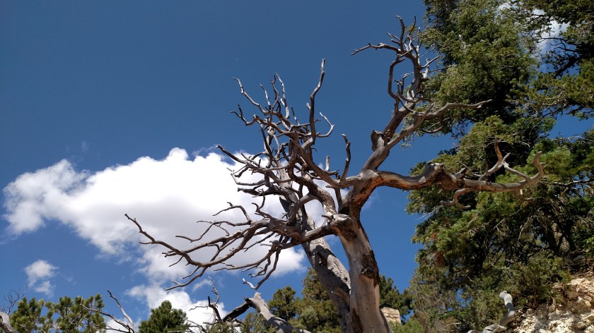 IMG_20170911_122925829