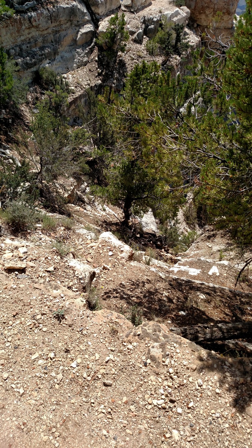 IMG_20170911_122952080